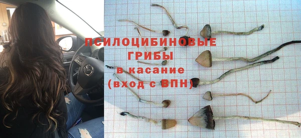 мяу мяу мука Киреевск