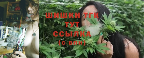 стафф Покачи